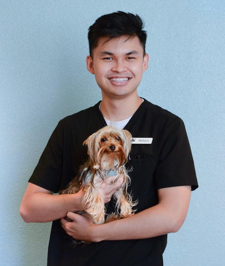 William Huynh