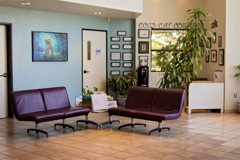 Carousel Slide 4: Valley Animal Hospital of Merced - Lobby