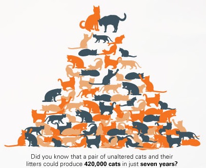Pair of unaltered cats and their litters can produced 420,000 cats in 7 years.